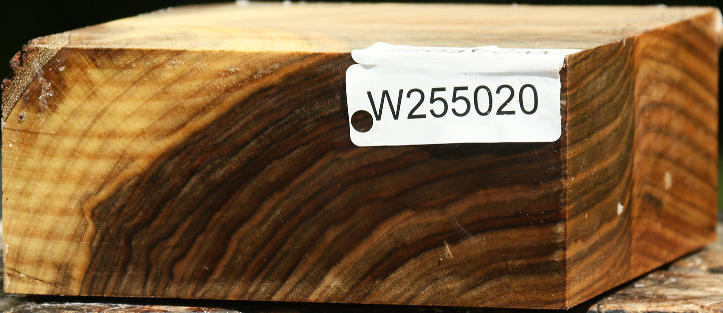 Grafted Pistachio Bowl Blank