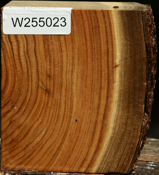 Pistachio Live Edge Turning Blank