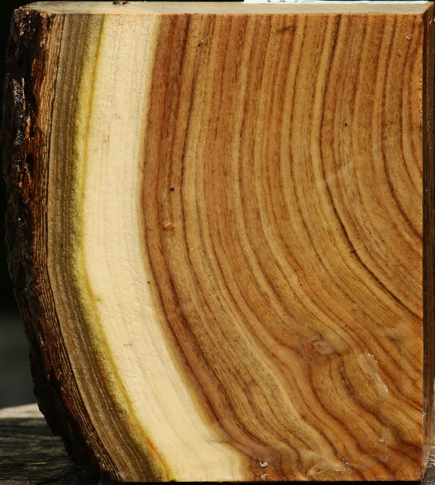 Pistachio Live Edge Turning Blank