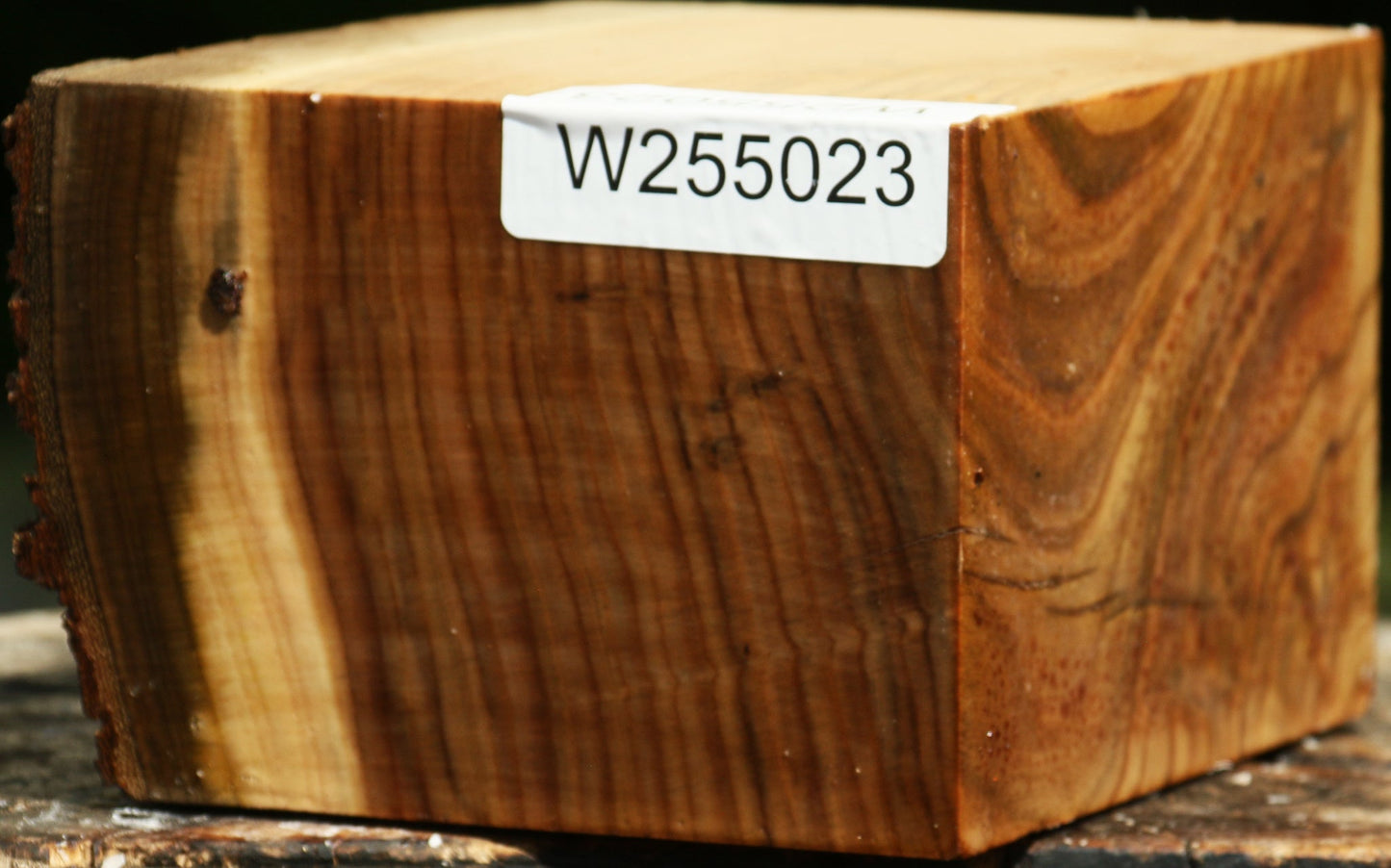 Pistachio Live Edge Turning Blank