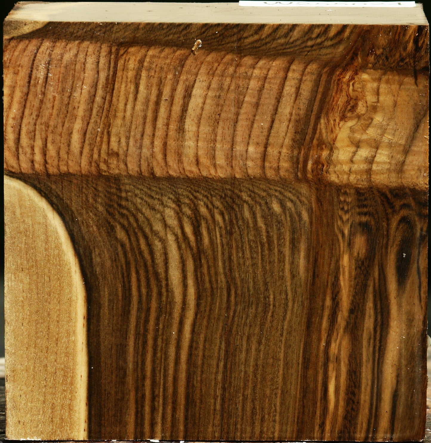 Grafted Pistachio Bowl Blank