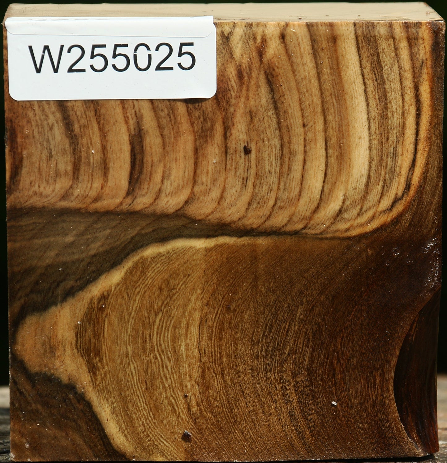Grafted Pistachio Bowl Blank