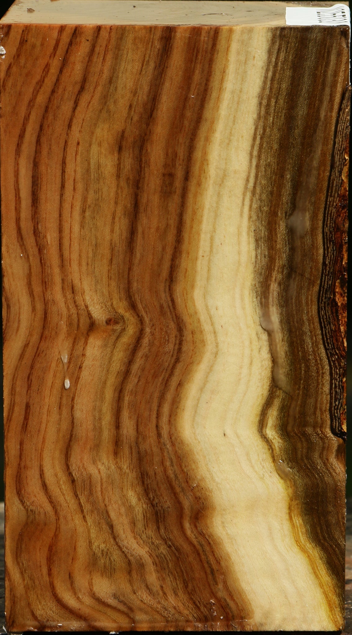 Figured Pistachio Turning Blank