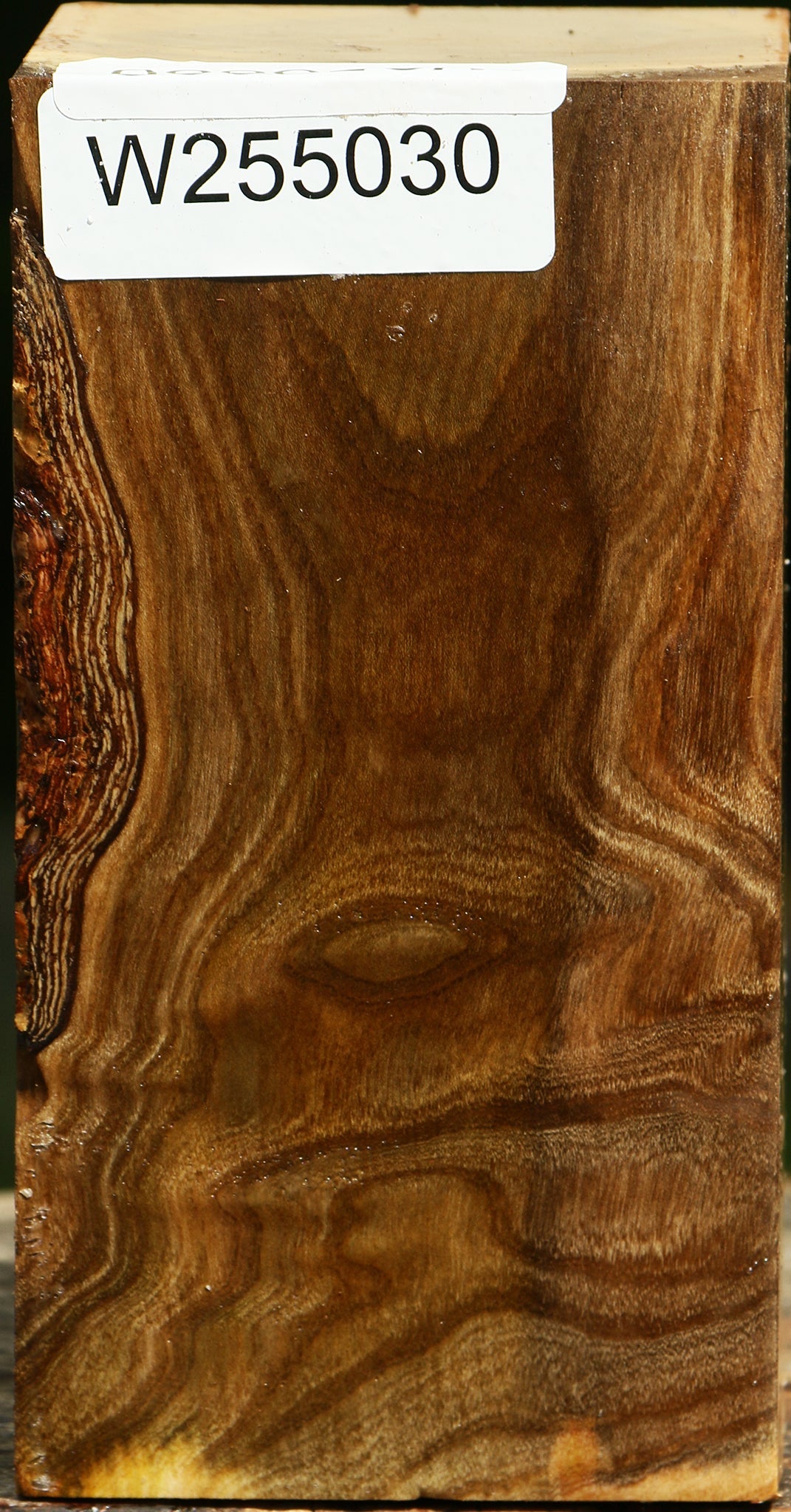 Figured Pistachio Turning Blank