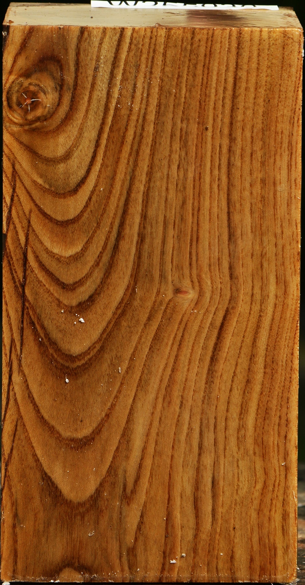 Figured Pistachio Turning Blank