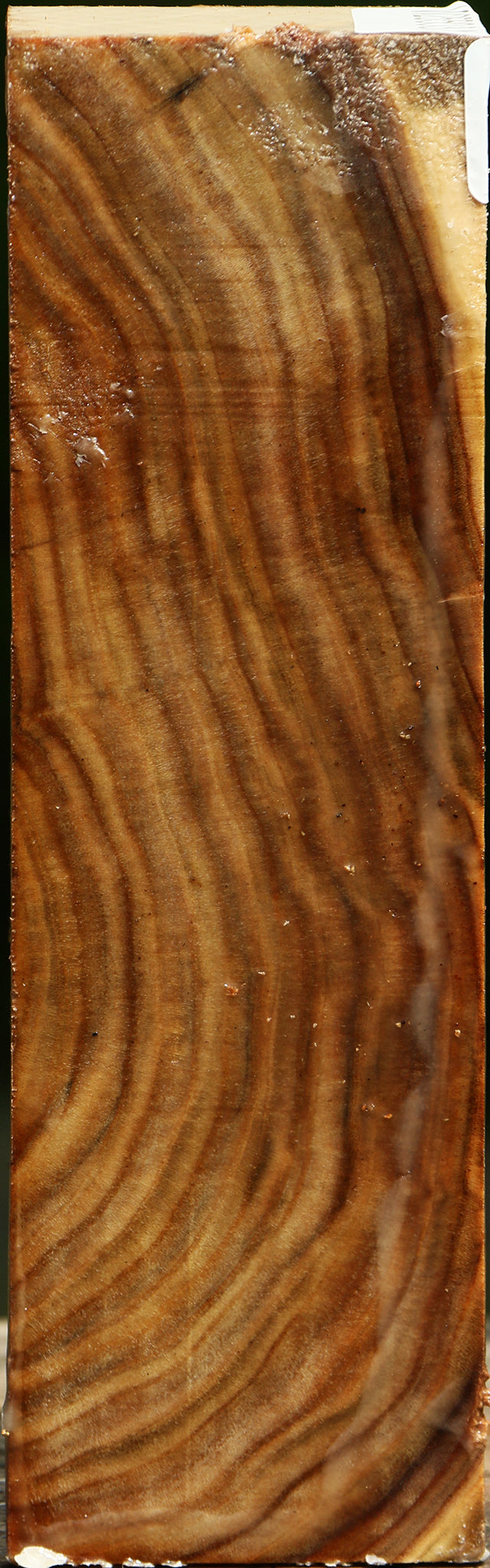 Figured Pistachio Turning Square
