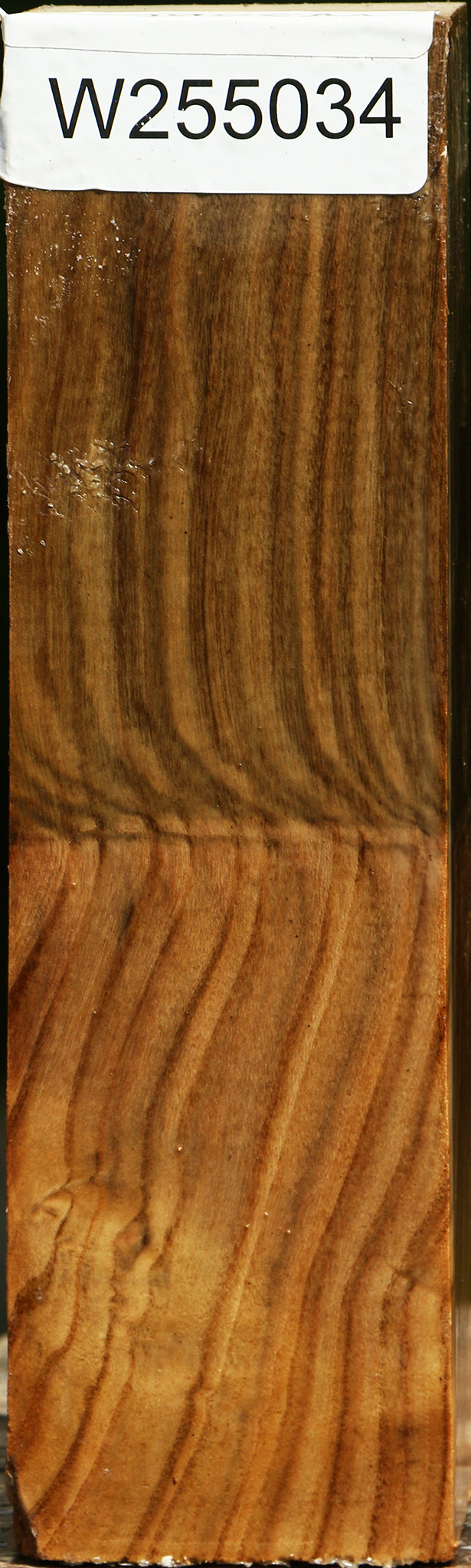 Grafted Pistachio Turning Square
