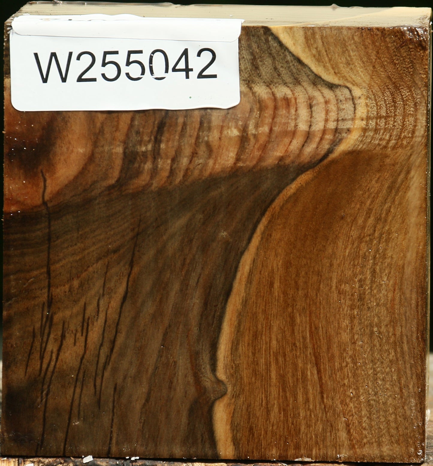 Grafted Pistachio Bowl Blank
