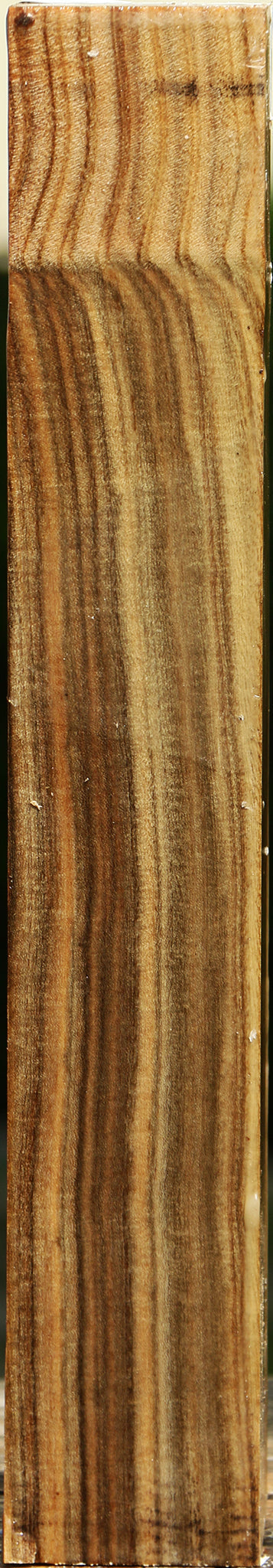 Pistachio Turning Square