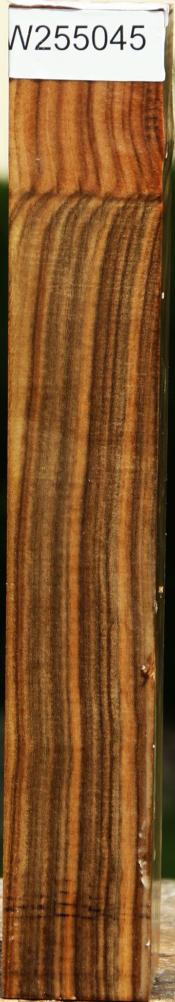 Pistachio Turning Square