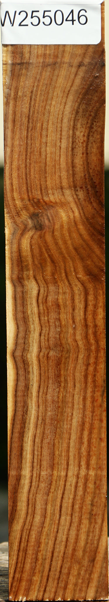 Pistachio Turning Square
