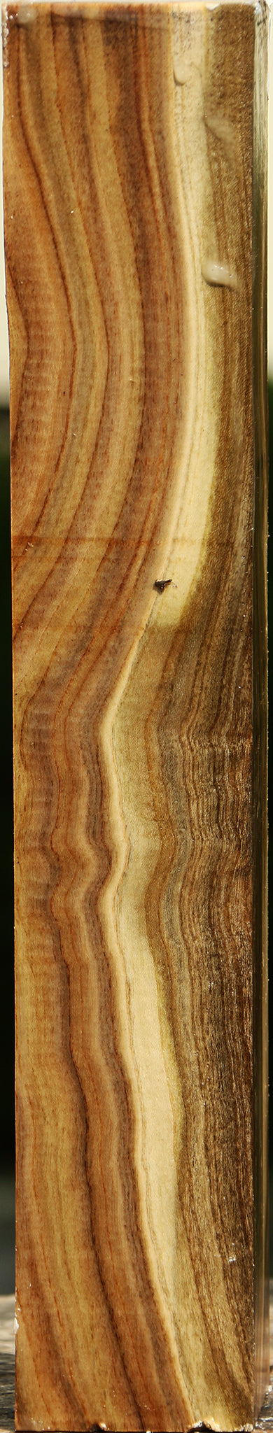 Pistachio Turning Square