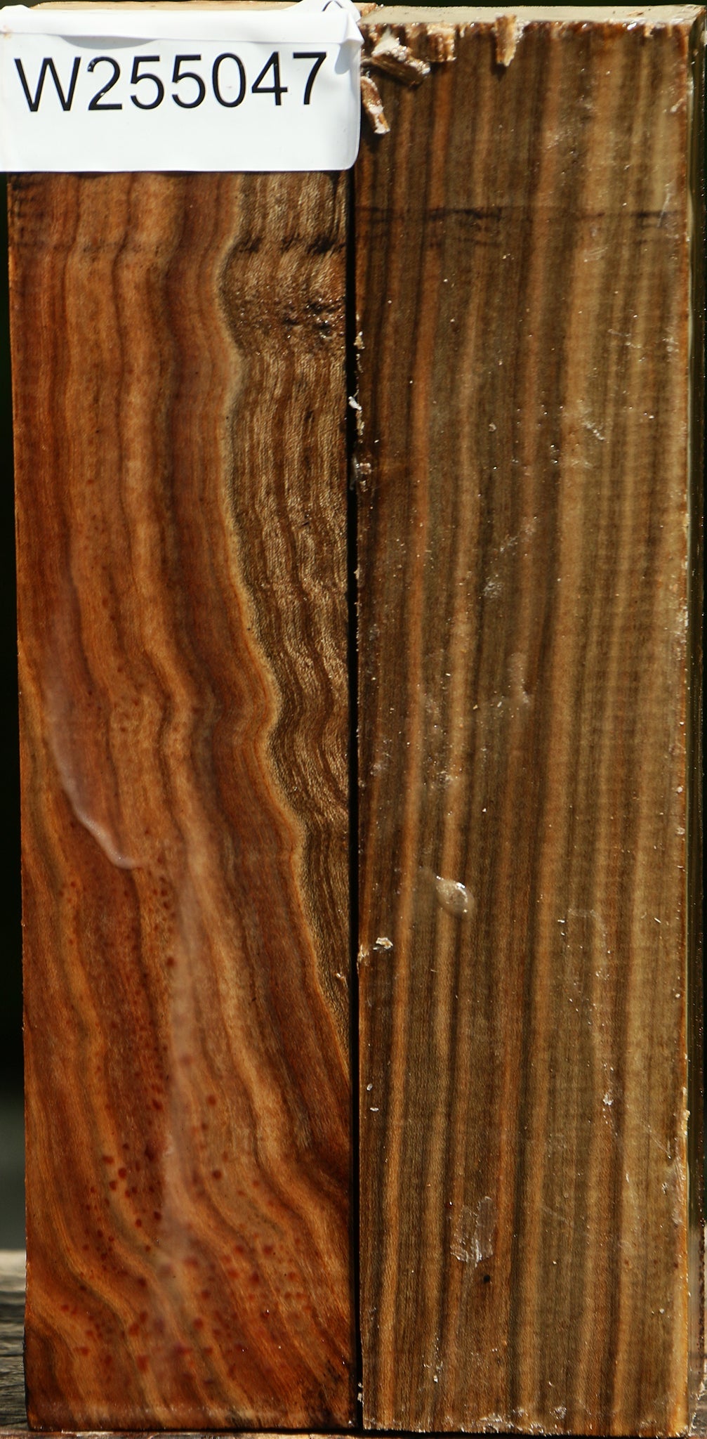 Pistachio Turning Square 2 Pack