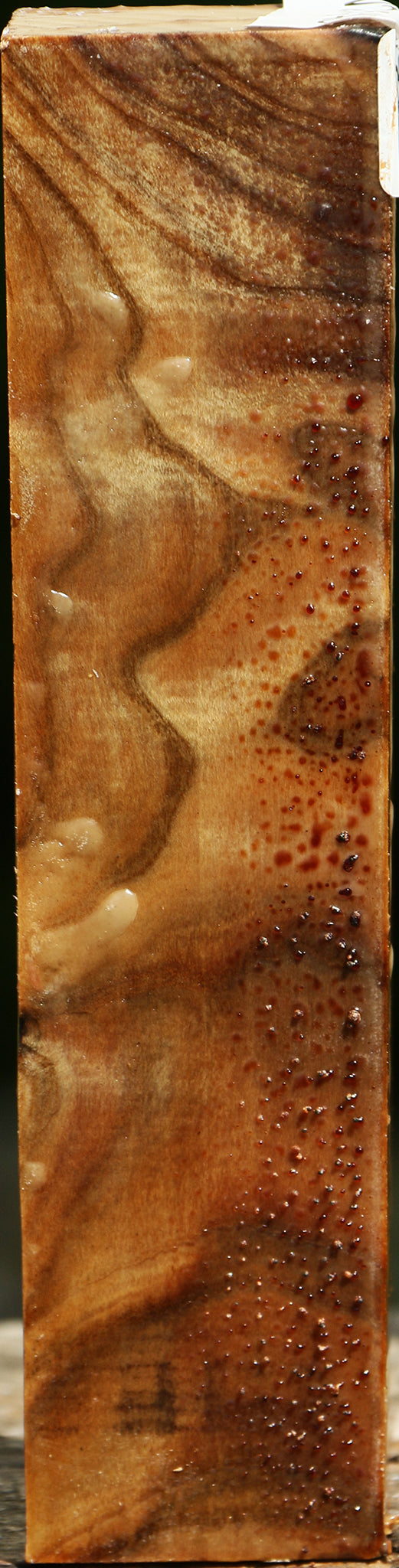 Pistachio Turning Square