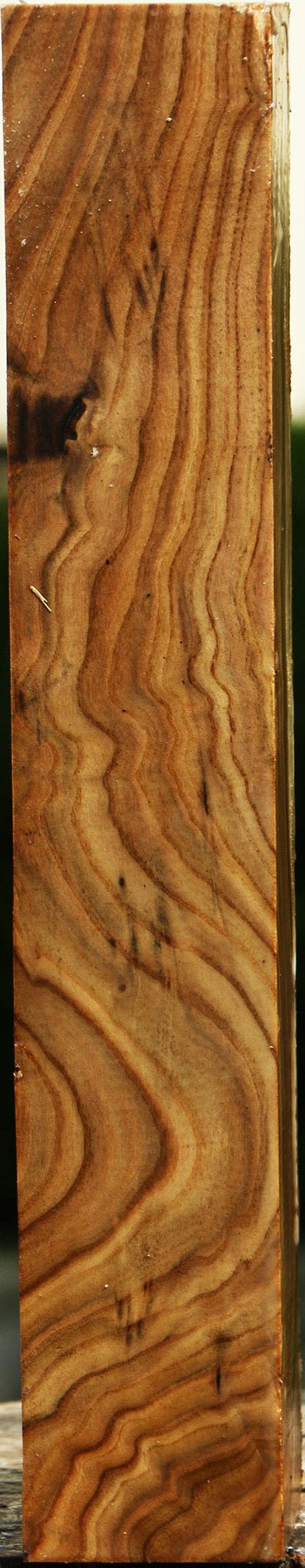 Figured Pistachio Turning Square