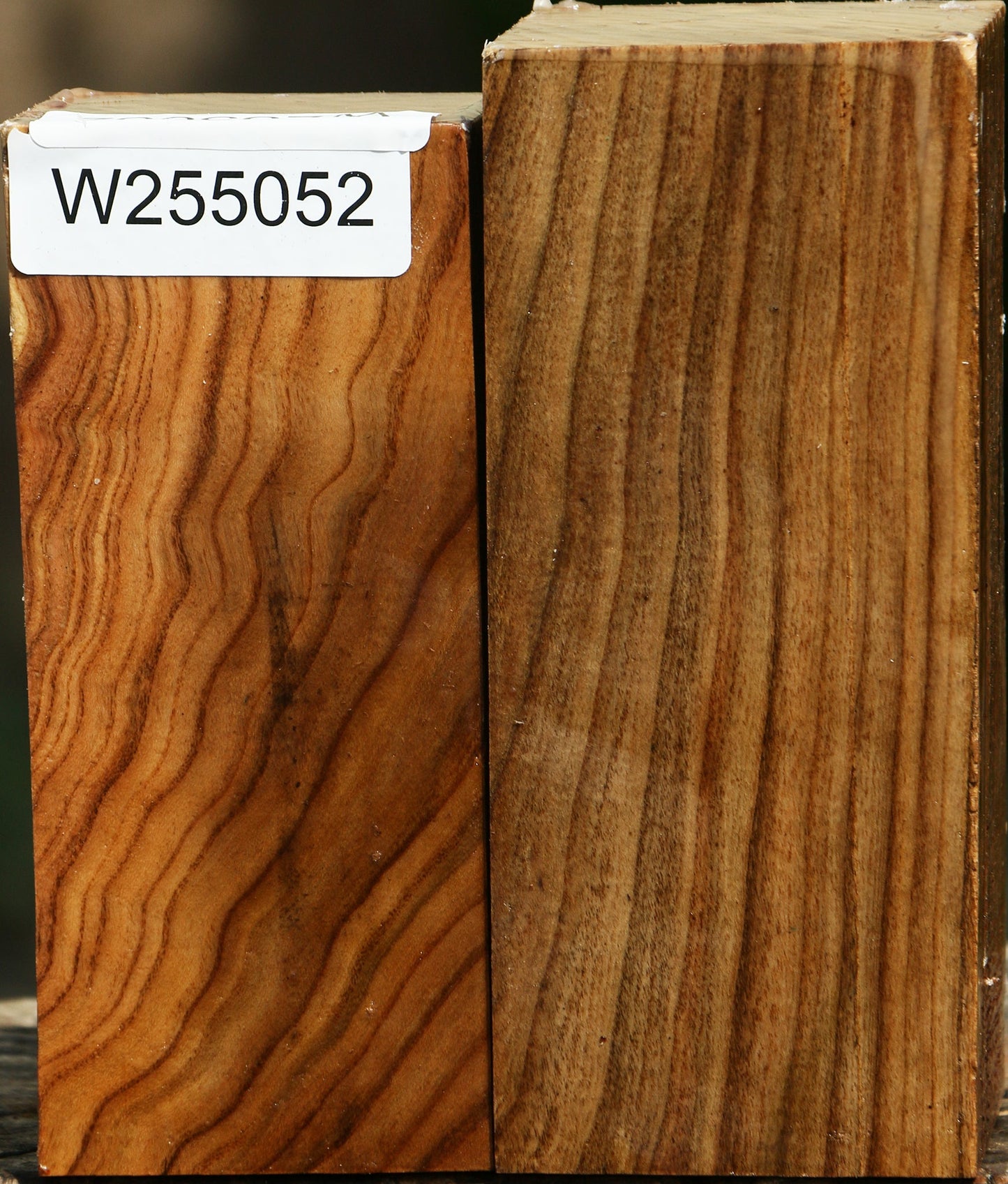 Pistachio Turning Square 2 Pack