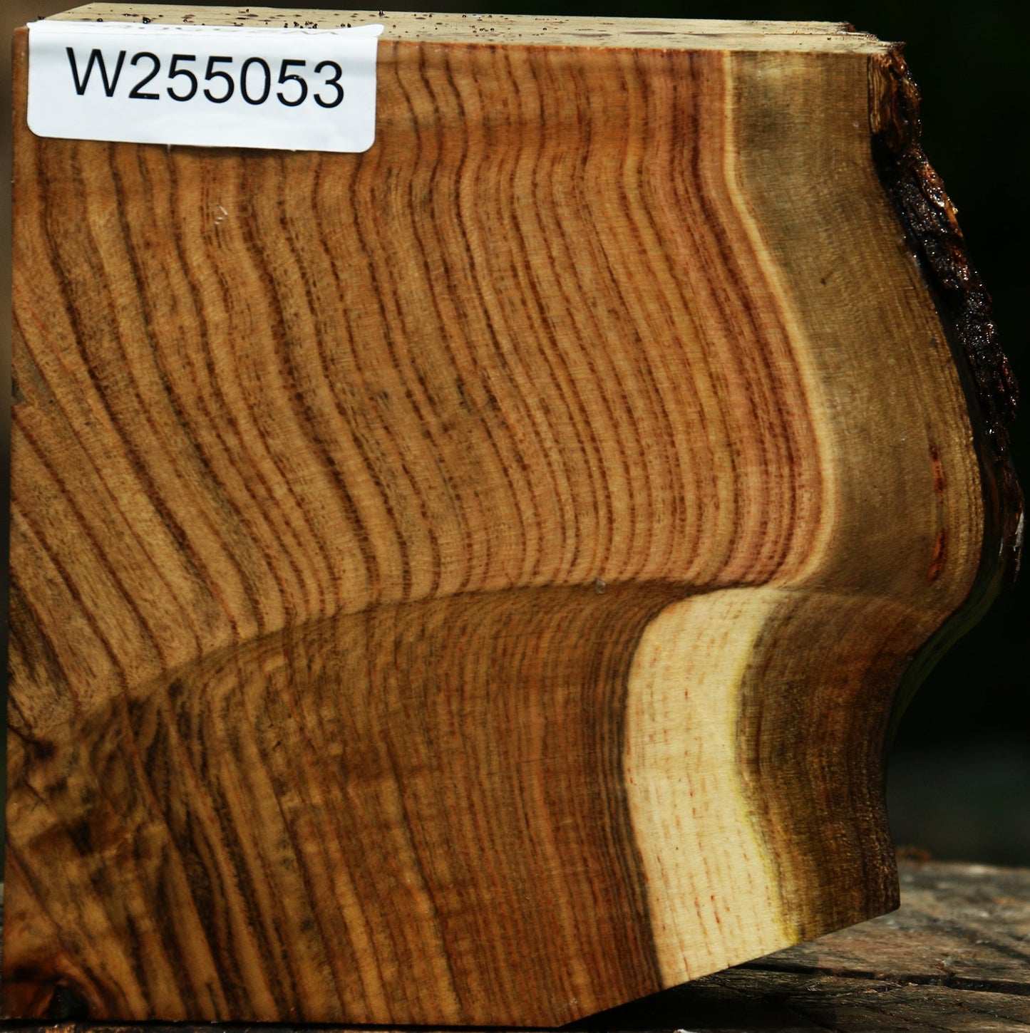 Grafted Pistachio Live Edge Bowl Blank