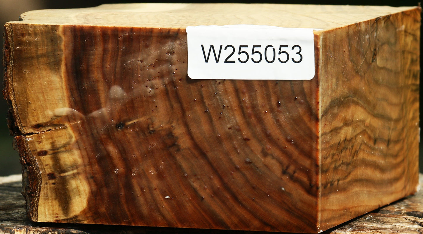 Grafted Pistachio Live Edge Bowl Blank