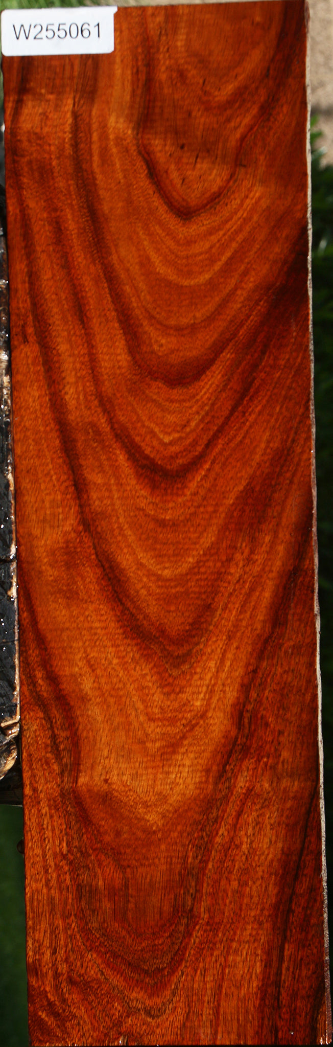 Figured Hawaiian Koa Lumber