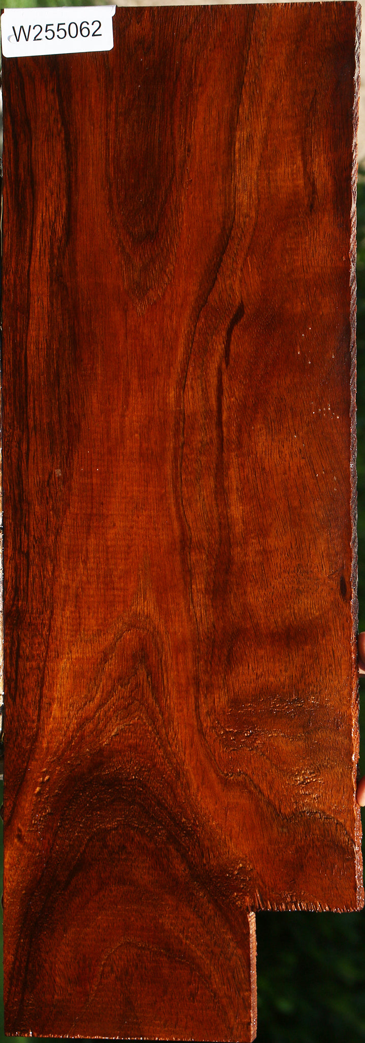 Figured Hawaiian Koa Electric Guitar Drop Top Billet