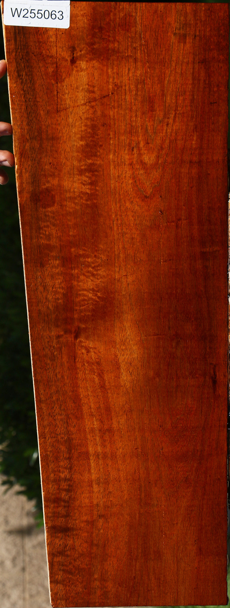 Figured Hawaiian Koa Electric Guitar Drop Top Billet