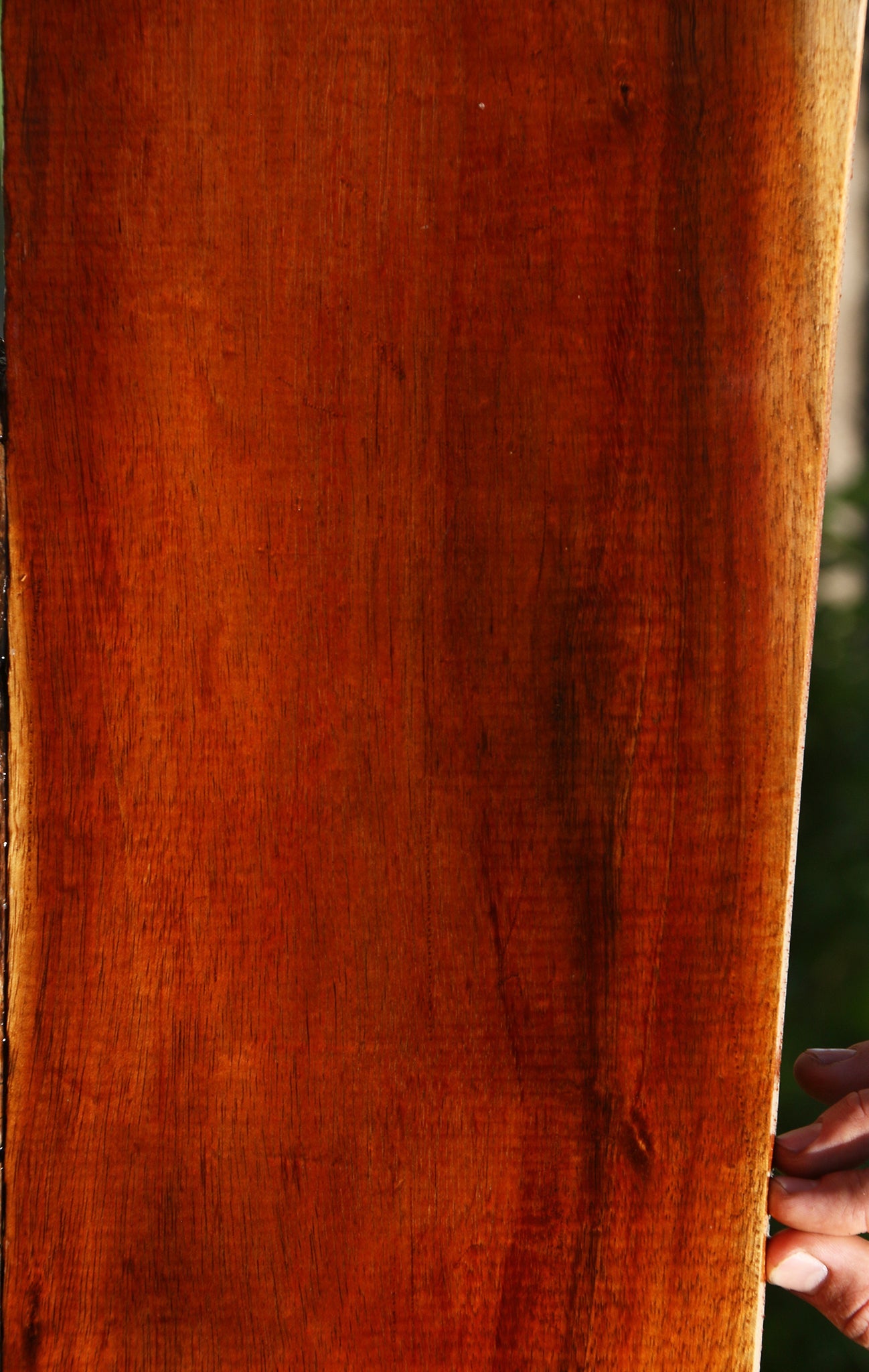 Figured Hawaiian Koa Electric Guitar Drop Top Billet