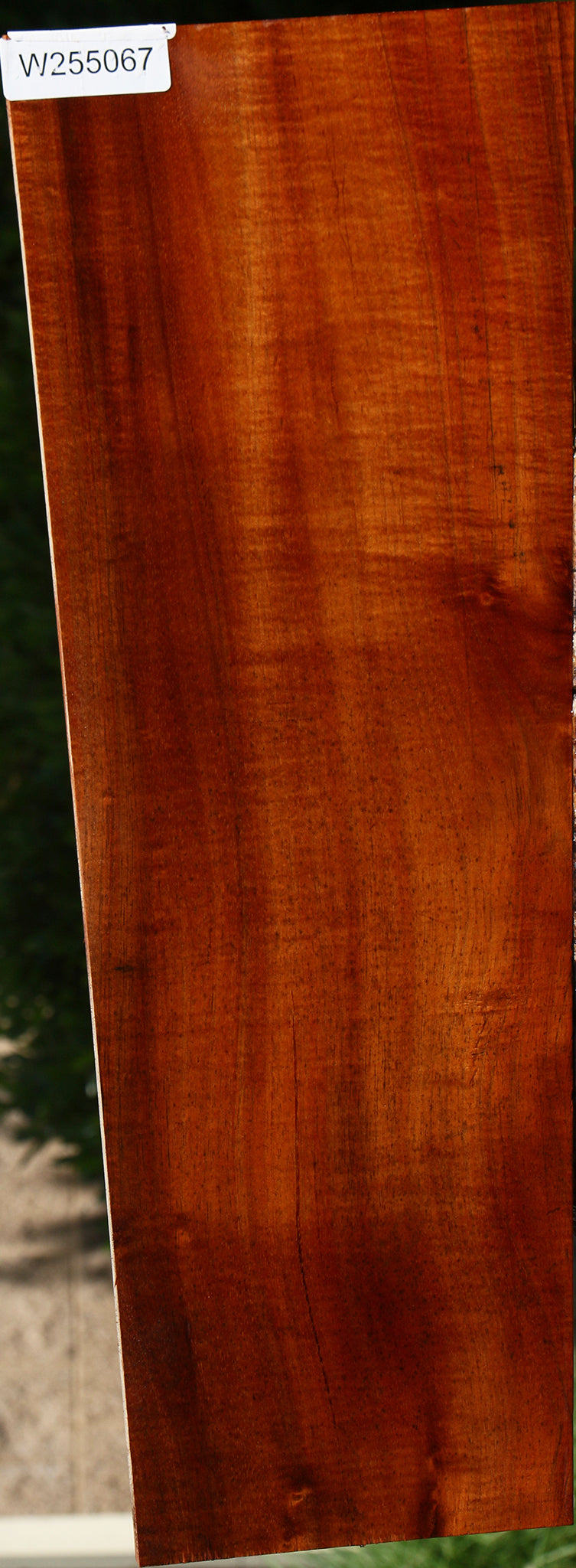 Hawaiian Koa Guitar Billet