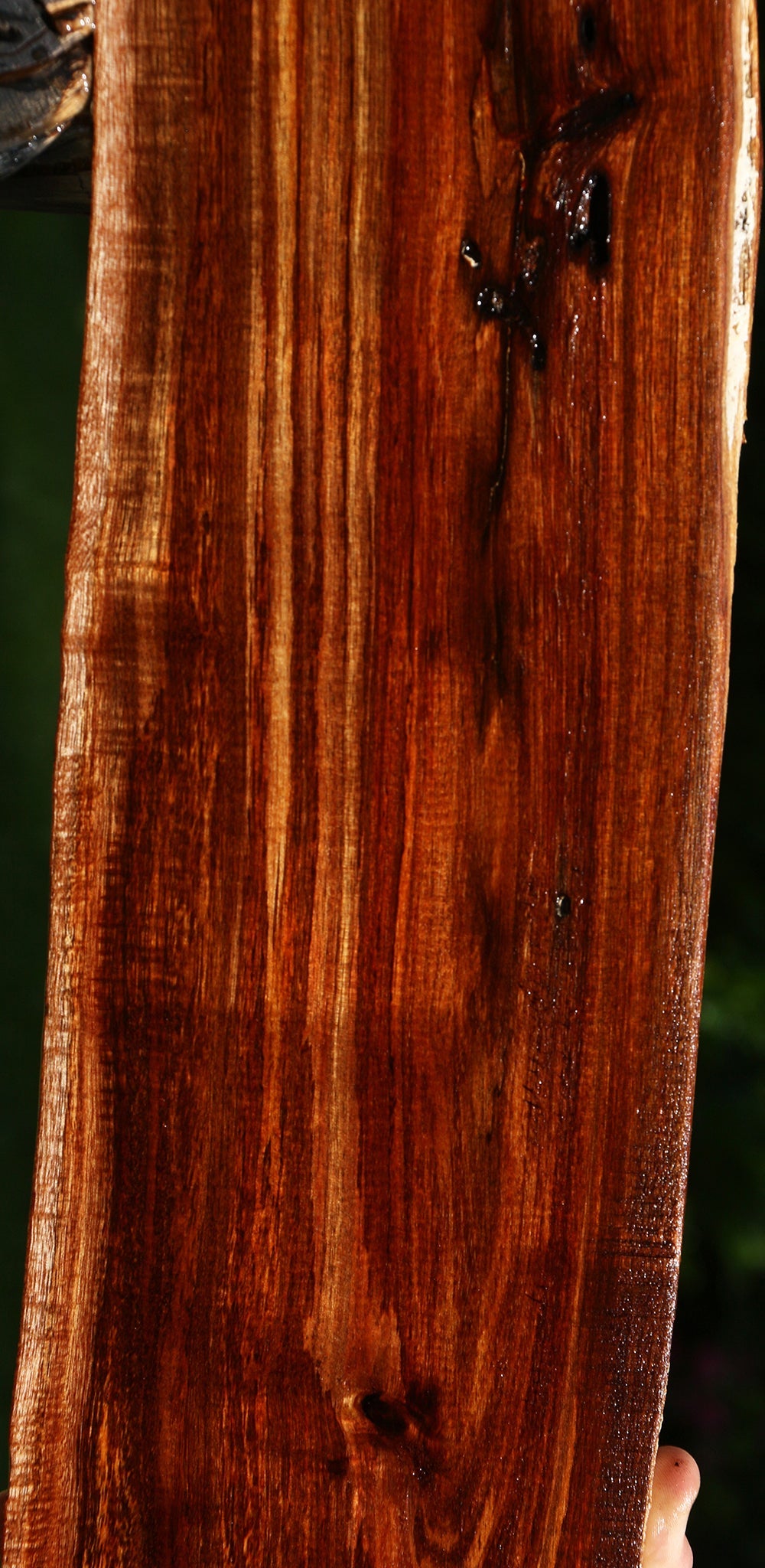 Extra Fancy Hawaiian Koa Live Edge Lumber