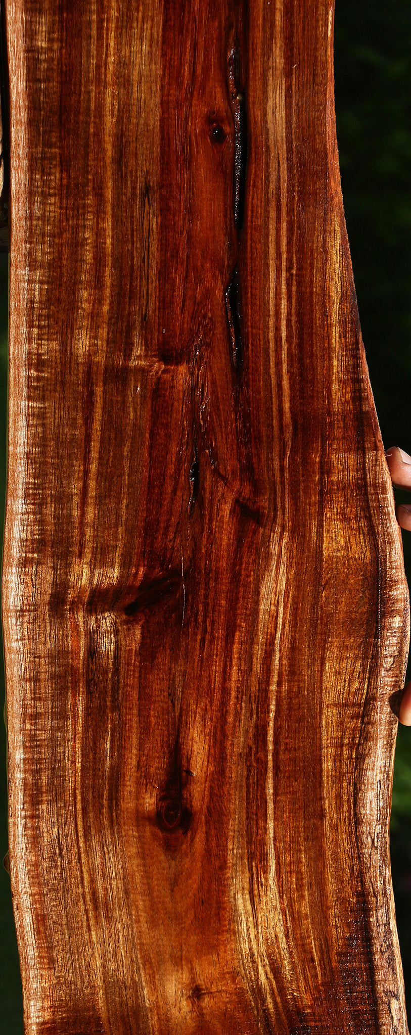 Extra Fancy Hawaiian Koa Live Edge Lumber