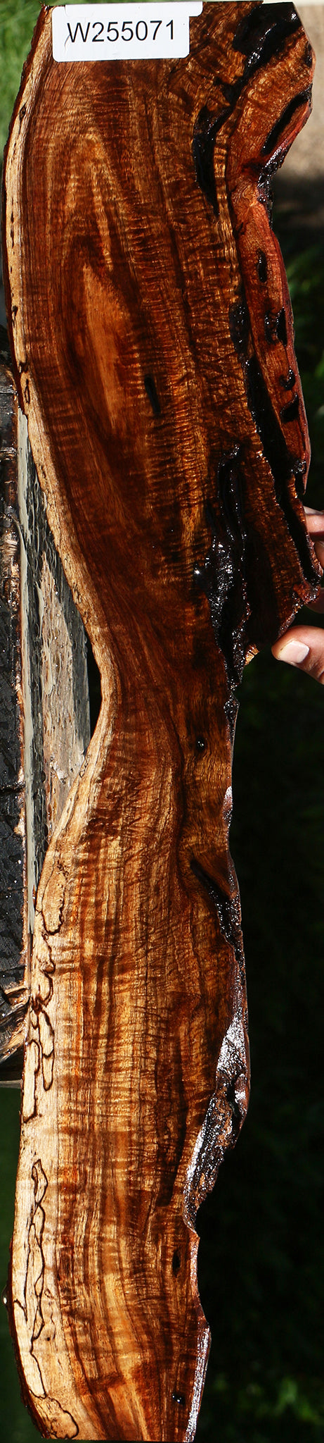 Extra Fancy Hawaiian Koa Live Edge Lumber