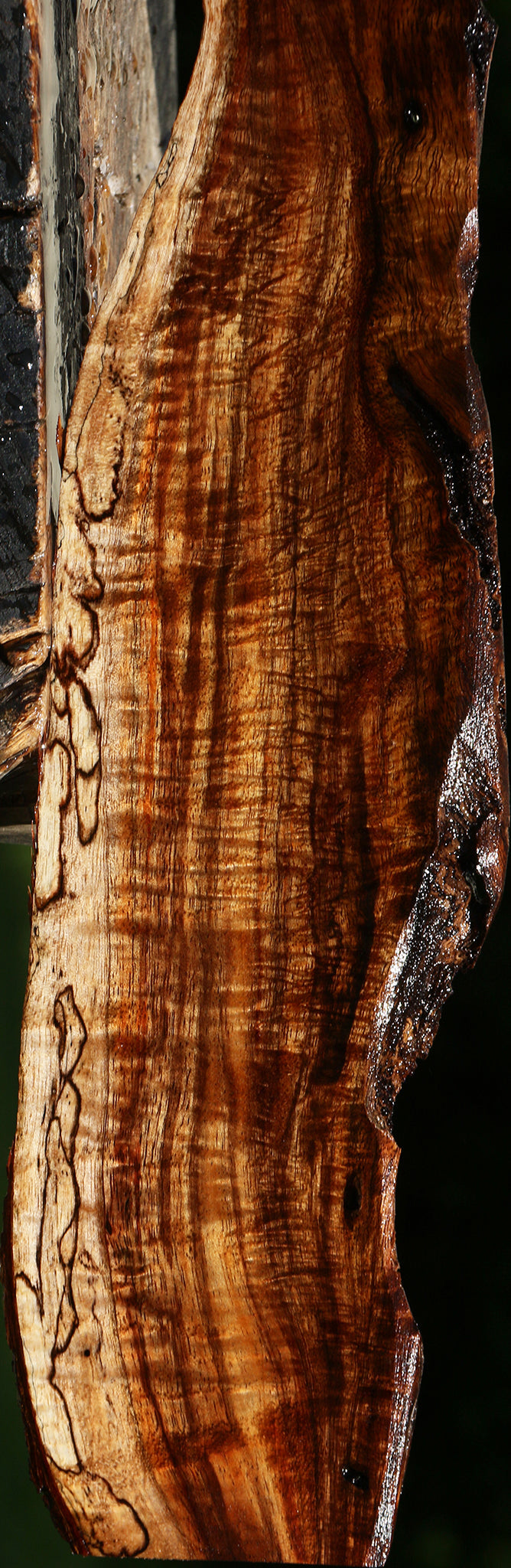 Extra Fancy Hawaiian Koa Live Edge Lumber