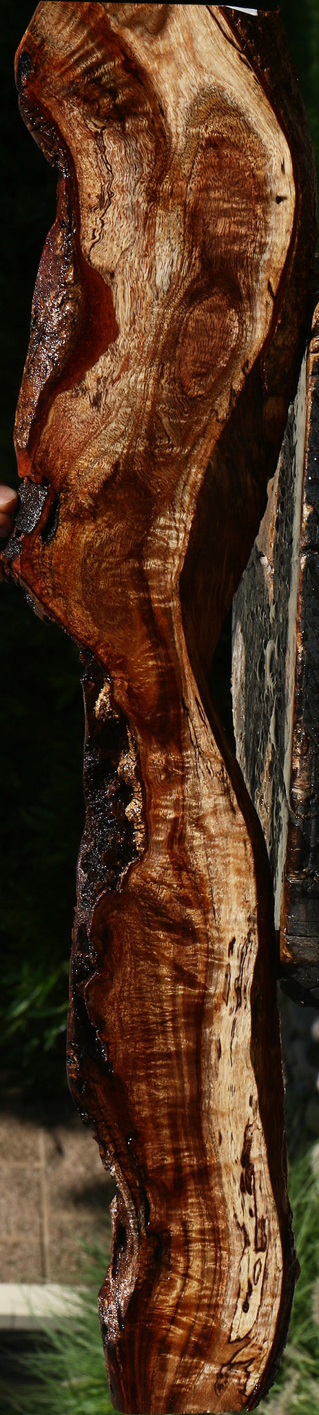 Extra Fancy Hawaiian Koa Live Edge Lumber