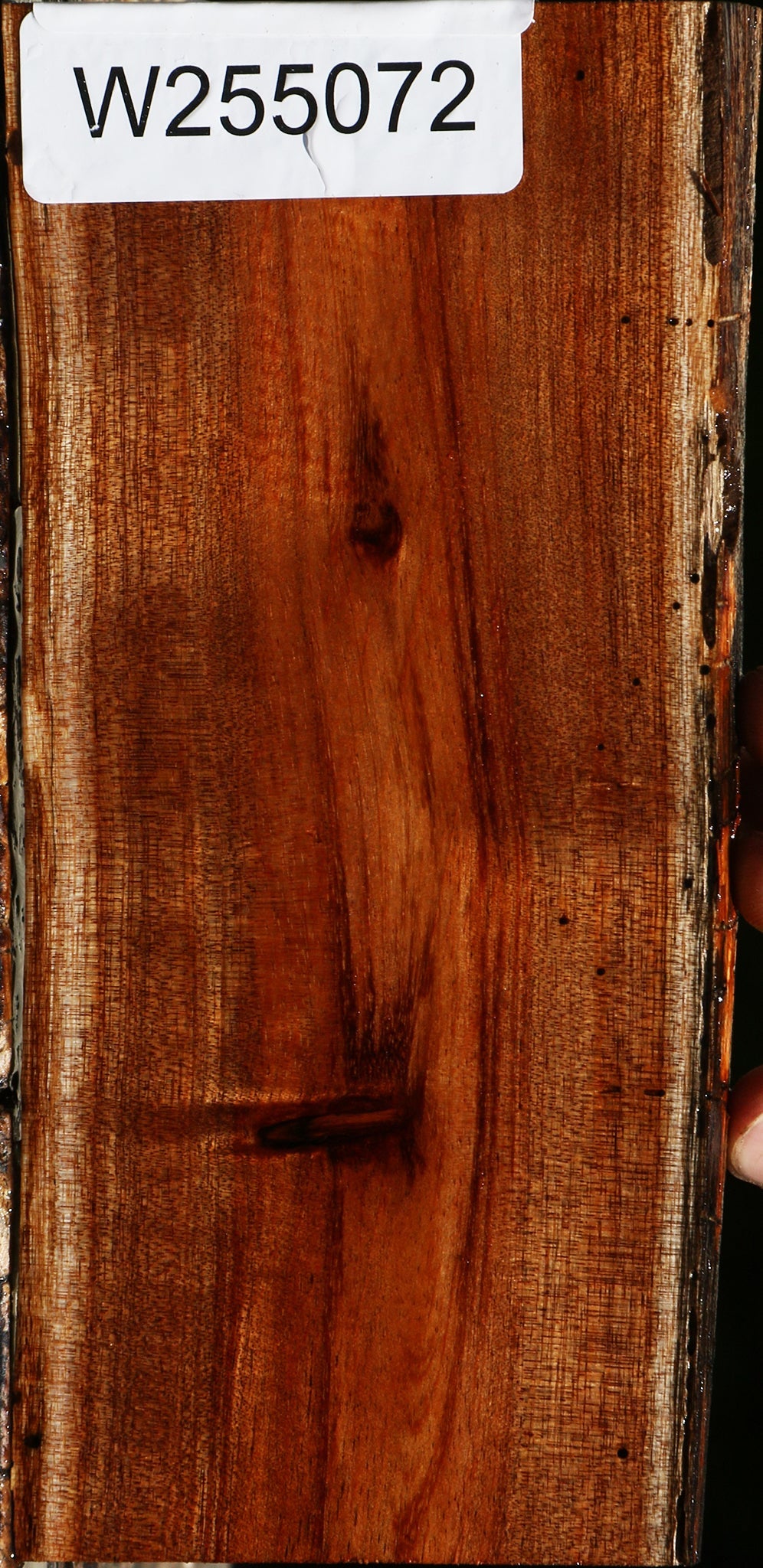 Hawaiian Koa Live Edge Lumber
