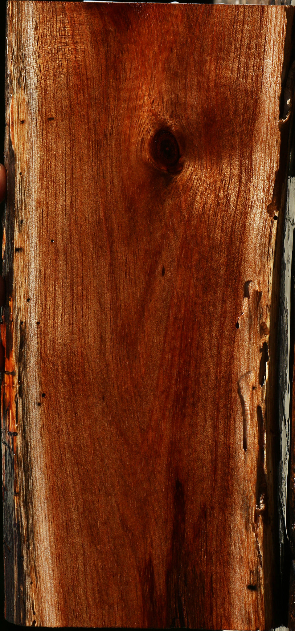 Hawaiian Koa Live Edge Lumber