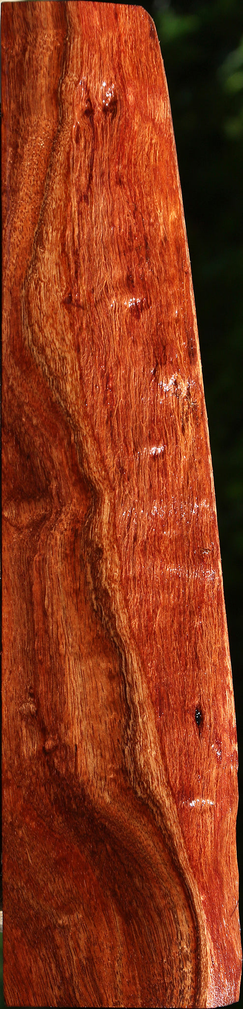 Figured Hawaiian Koa Live Edge Lumber