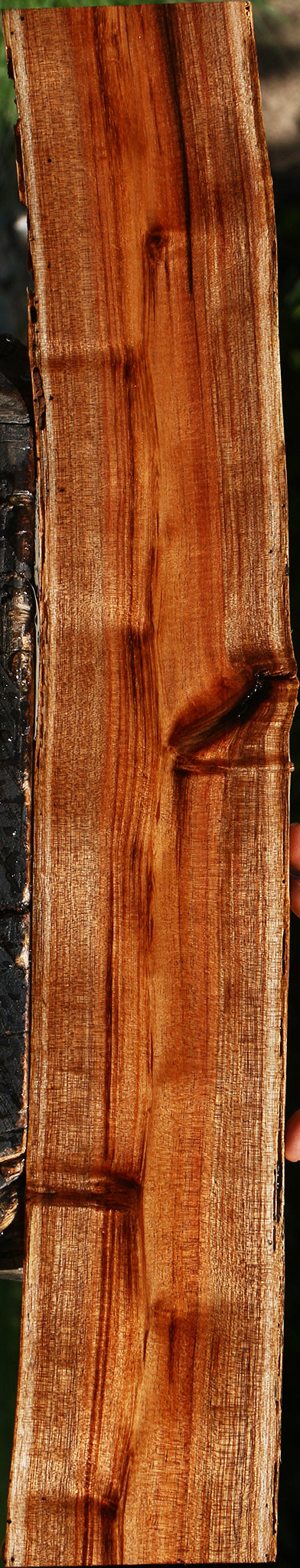 Hawaiian Koa Live Edge Lumber