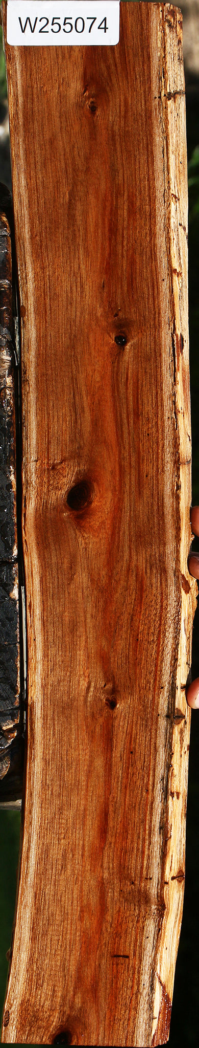 Hawaiian Koa Live Edge Lumber