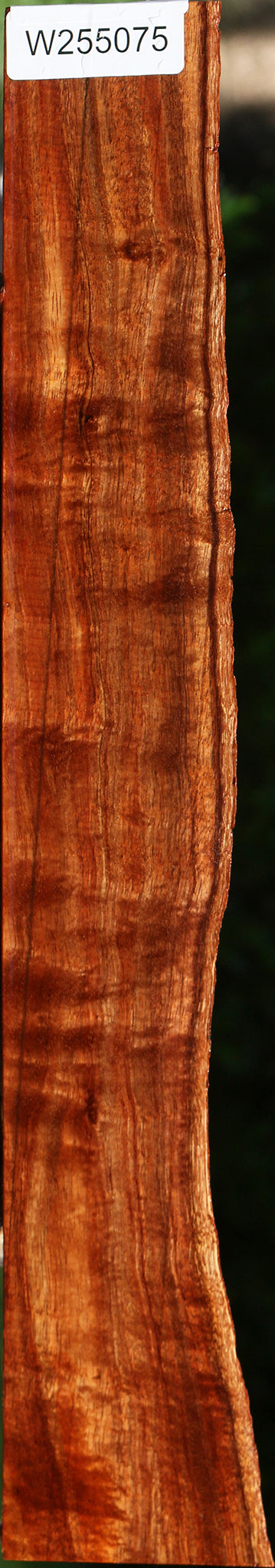 Extra Fancy Hawaiian Koa Live Edge Lumber