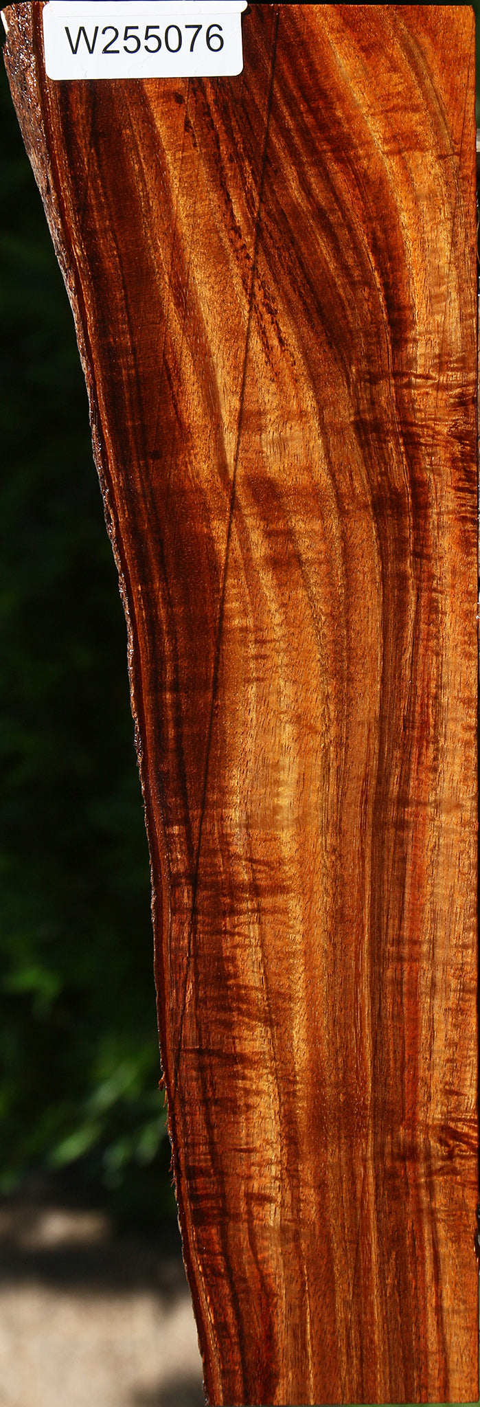 Extra Fancy Hawaiian Koa Live Edge Lumber