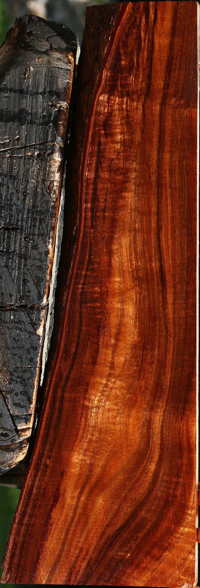 Extra Fancy Hawaiian Koa Live Edge Lumber