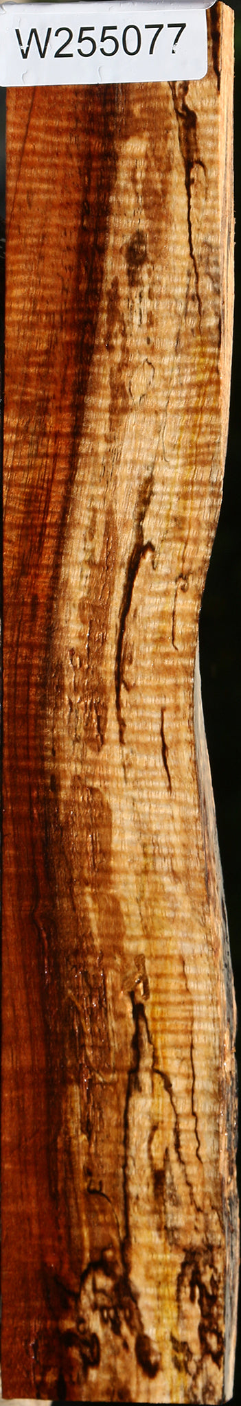 Extra Fancy Spalted Hawaiian Koa Lumber