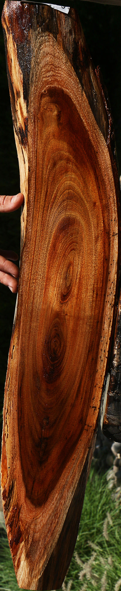 Hawaiian Koa Live Edge Lumber
