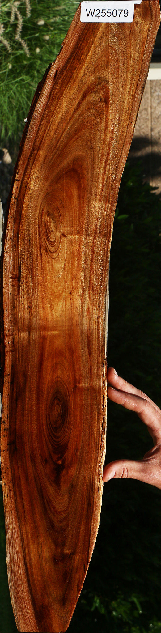 Hawaiian Koa Live Edge Lumber