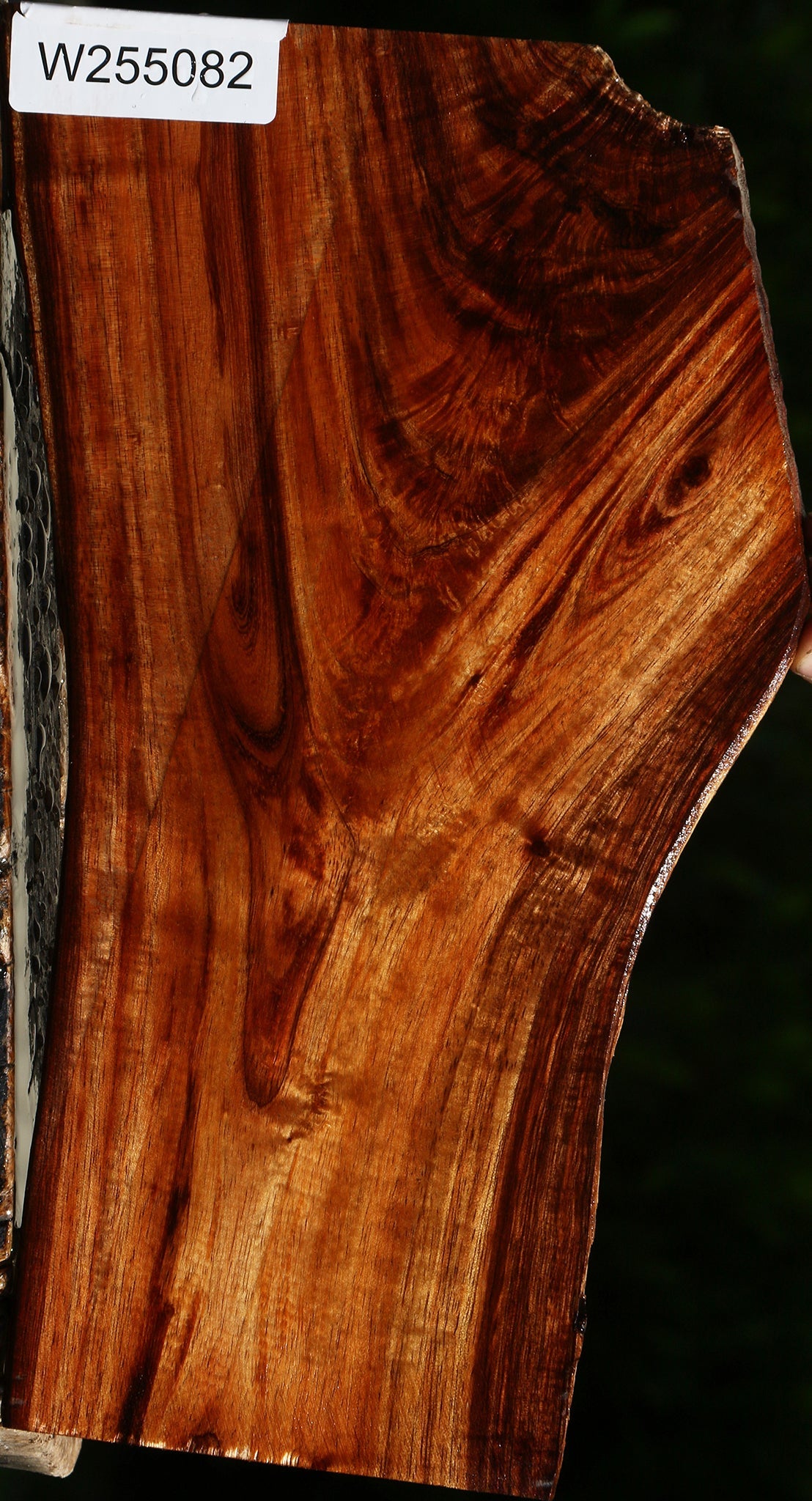 Extra Fancy Crotchwood Hawaiian Koa Live Edge Lumber