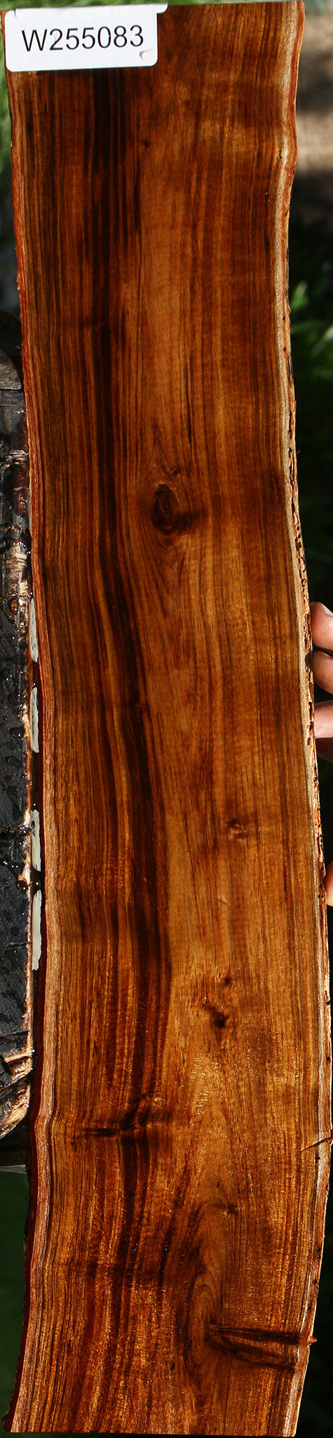 Figured Hawaiian Koa Live Edge Lumber