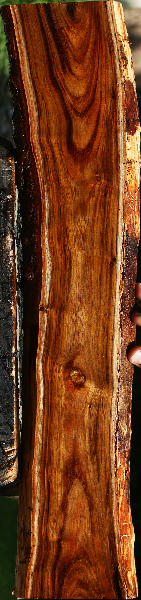 Figured Hawaiian Koa Live Edge Lumber