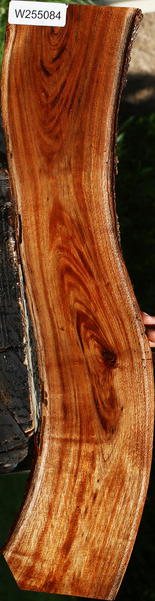 Hawaiian Koa Live Edge Lumber