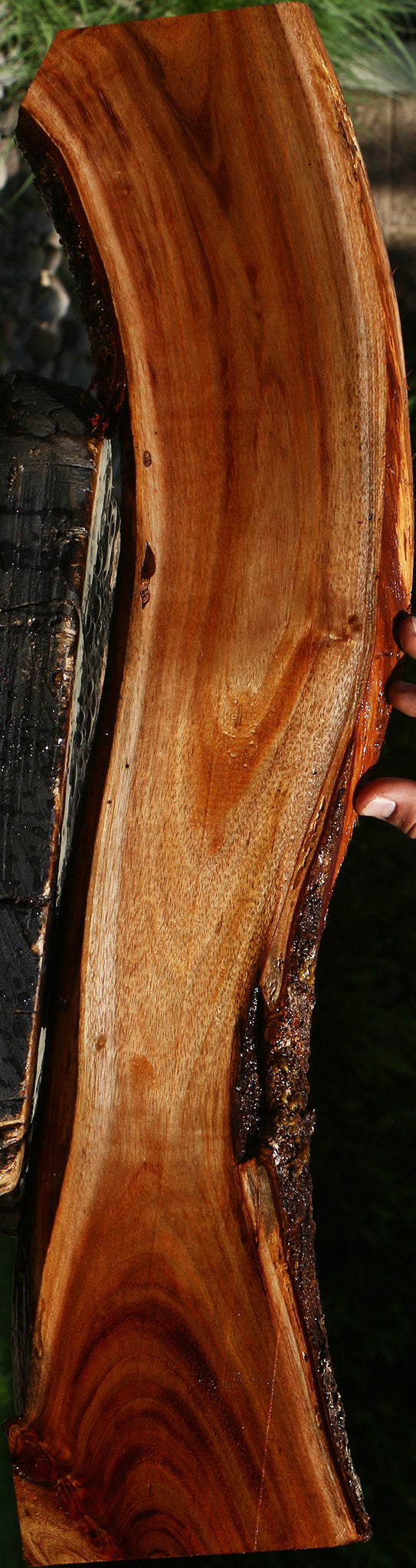Hawaiian Koa Live Edge Lumber