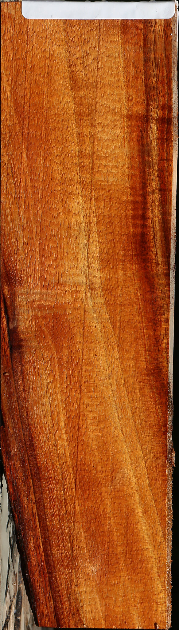 Extra Fancy Hawaiian Koa Micro Lumber