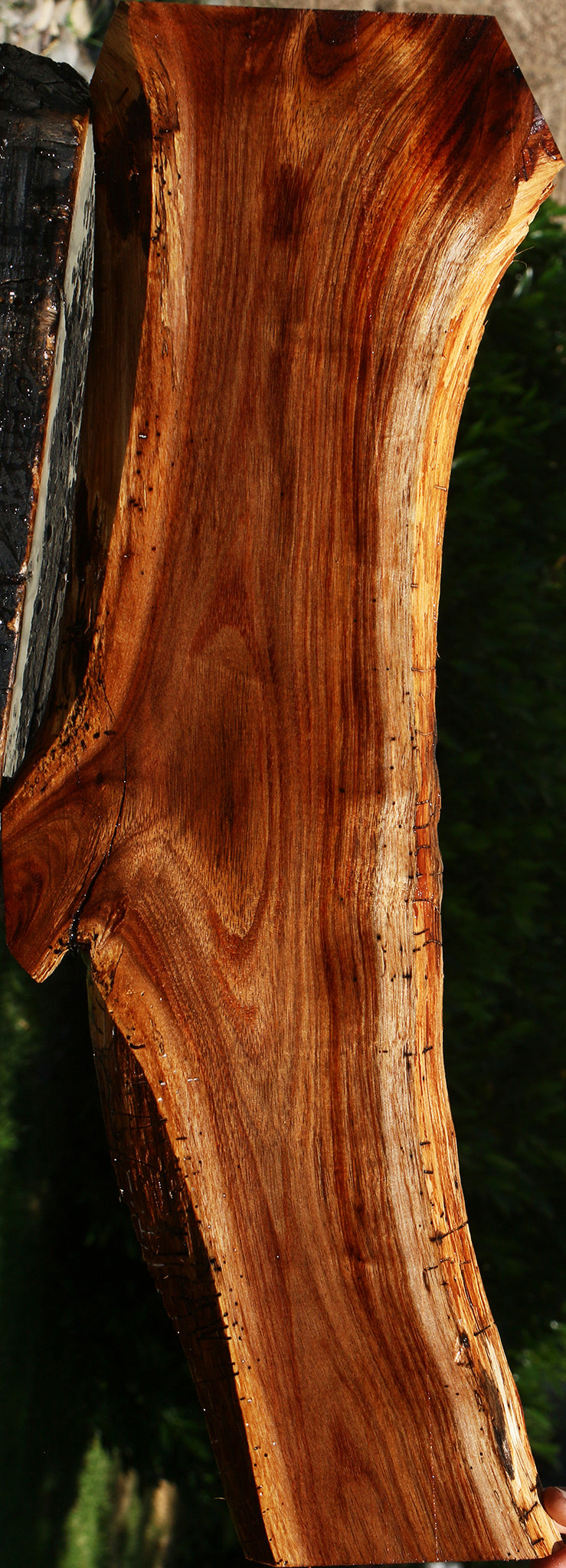 Hawaiian Koa Live Edge Lumber